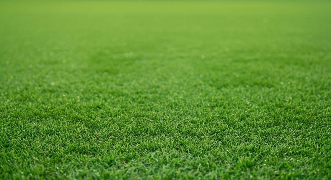 Premium artificial grass project 2