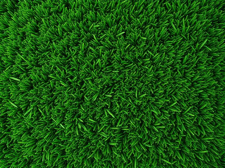 Swizzer 20mm Economy