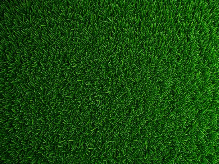 Swizzer 25mm Standard